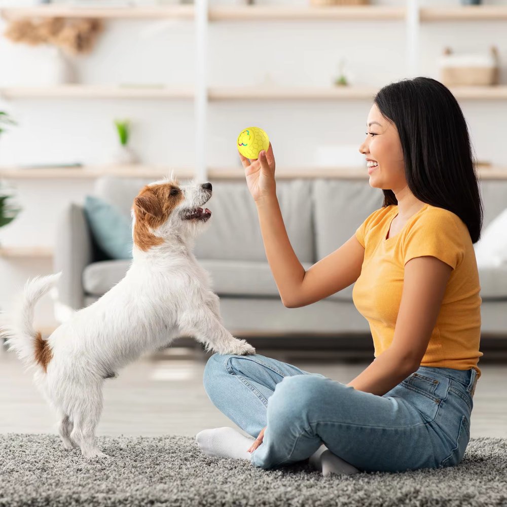 SmartBounce Dog Ball Toy With Intelligent Bouncing Action Waterproof Durable Safe And Bite Resistant | Lersk