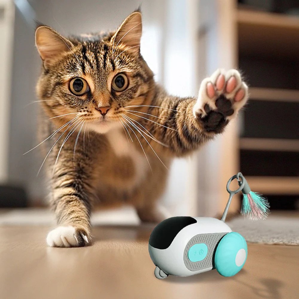TurboChase Interactive Cat Chase Toy From The TurboChase Brand For Cats Everywhere | Lersk