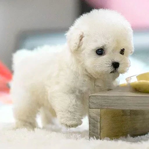 LumiPaws Interactive Plush Puppy With Realistic Movements And Touch Response | Lersk