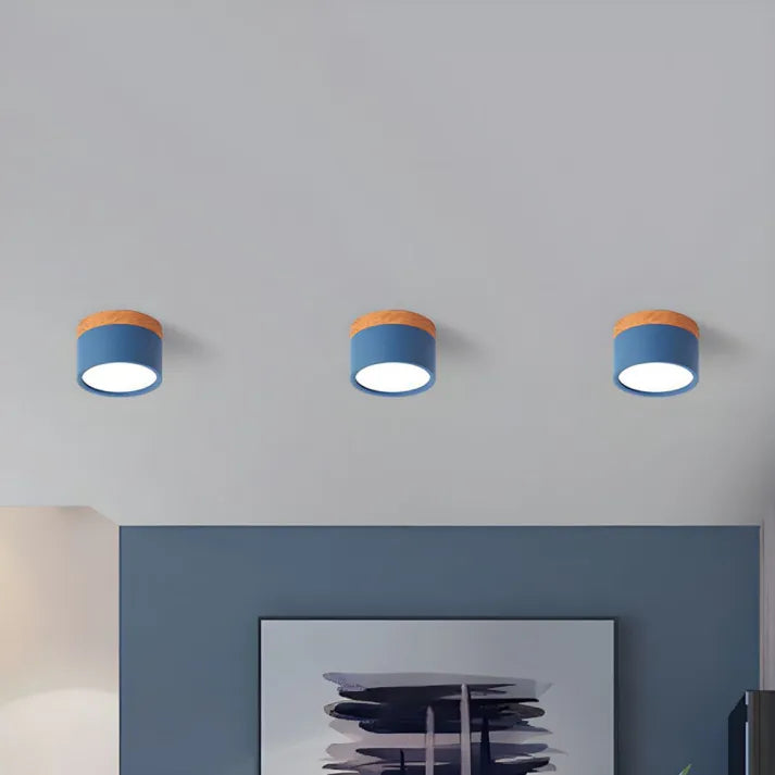 Lunara Nordic LED Ceiling Light for Hallways and Living | Lersk