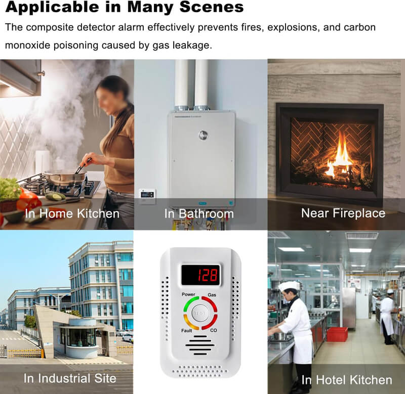 Home Dual Detector for Natural Gas Leak and Carbon Monoxide | Lersk