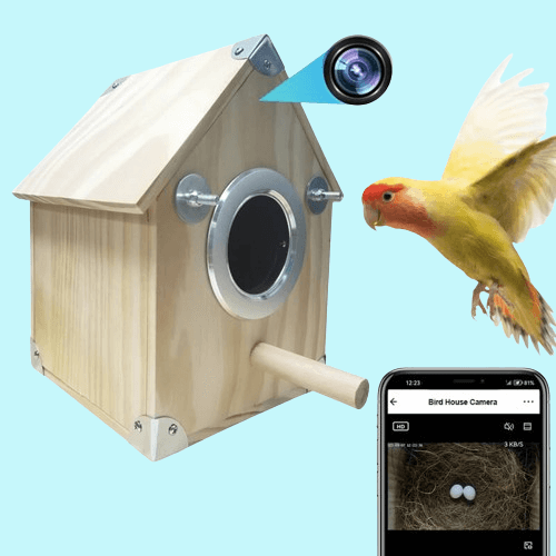 AvianVue Bird Nest Cam Feeder Box With 4MP Night Vision | Lersk
