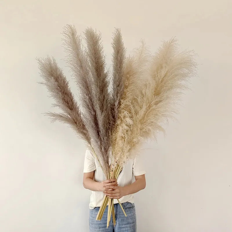 Aurea Meadow Boho sušené pampasové trávy pro domácí dekoraci | Lersk
