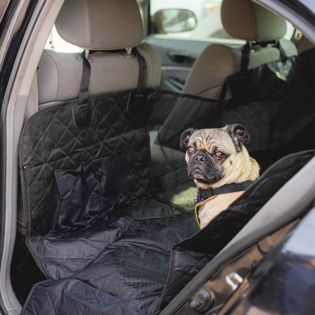 CozyPaws Shield Dog Car Seat Cover for Clean Rides | Lersk