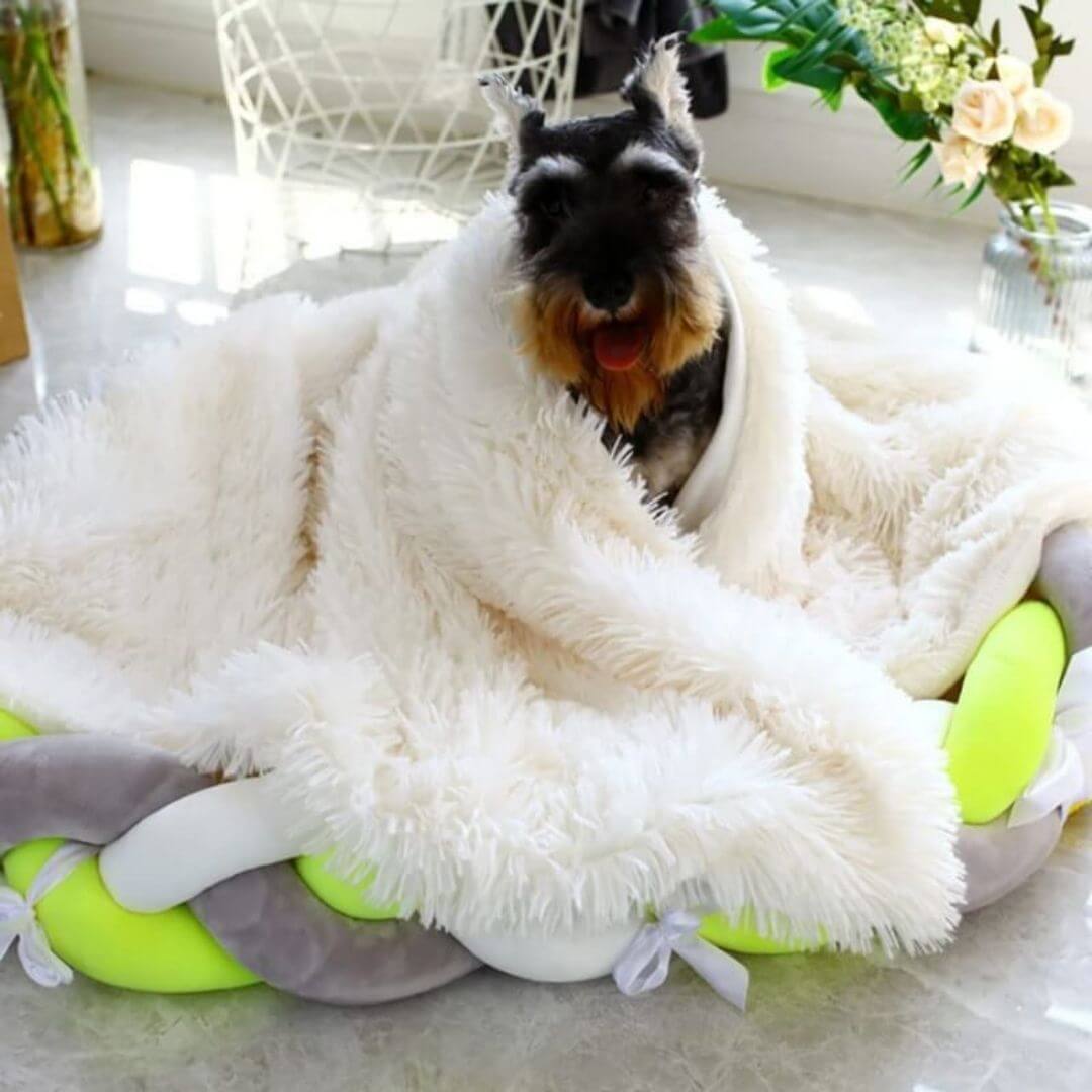 Deka pro domácí mazlíčky CuddleCloud pro úlevu od úzkosti, nadýchané pohodlí | Lersk