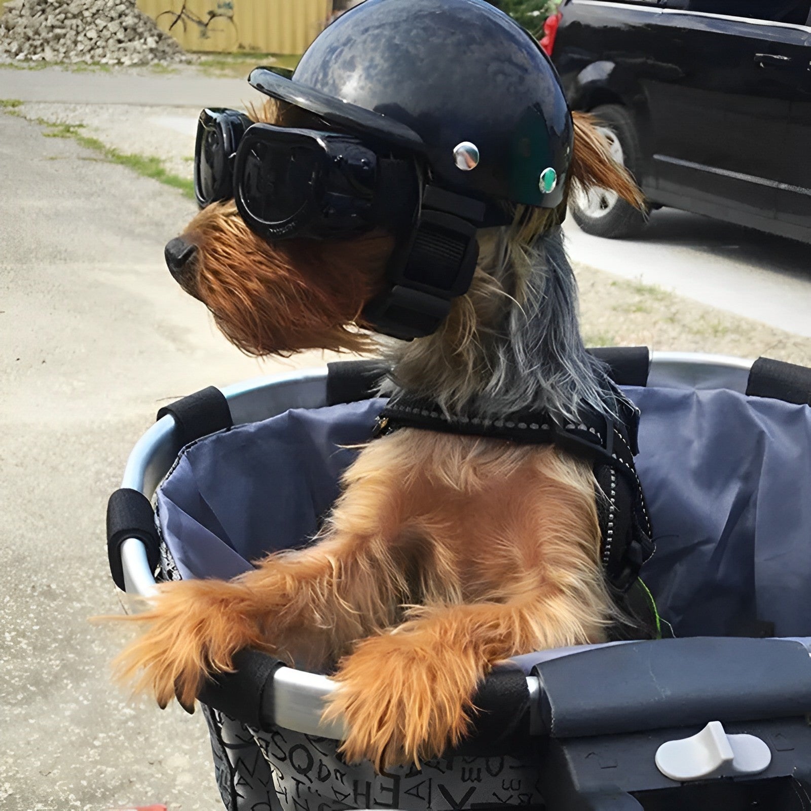 Casque et lunettes de moto TrailPup pour chiens, ajustement sûr pour la conduite | Lersk