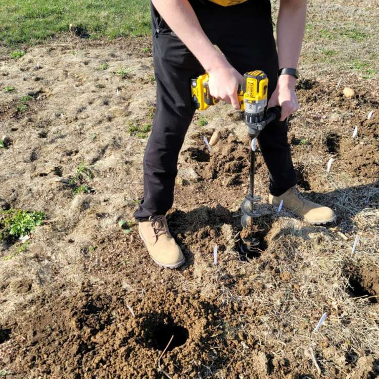 Punta da Trapano TerraPro per Giardino Pesante da 3 Pollici per Bulbi | Lersk