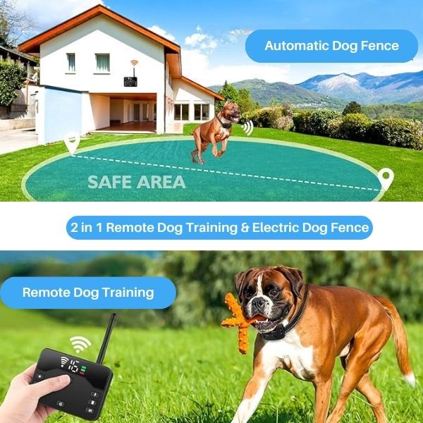 PawGuard Boundary Pro 2-v-1 bezdrátový obojek a plot pro psy | Lersk