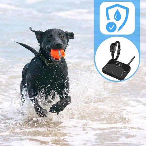 PawGuard Boundary Pro 2-v-1 bezdrátový obojek a plot pro psy | Lersk