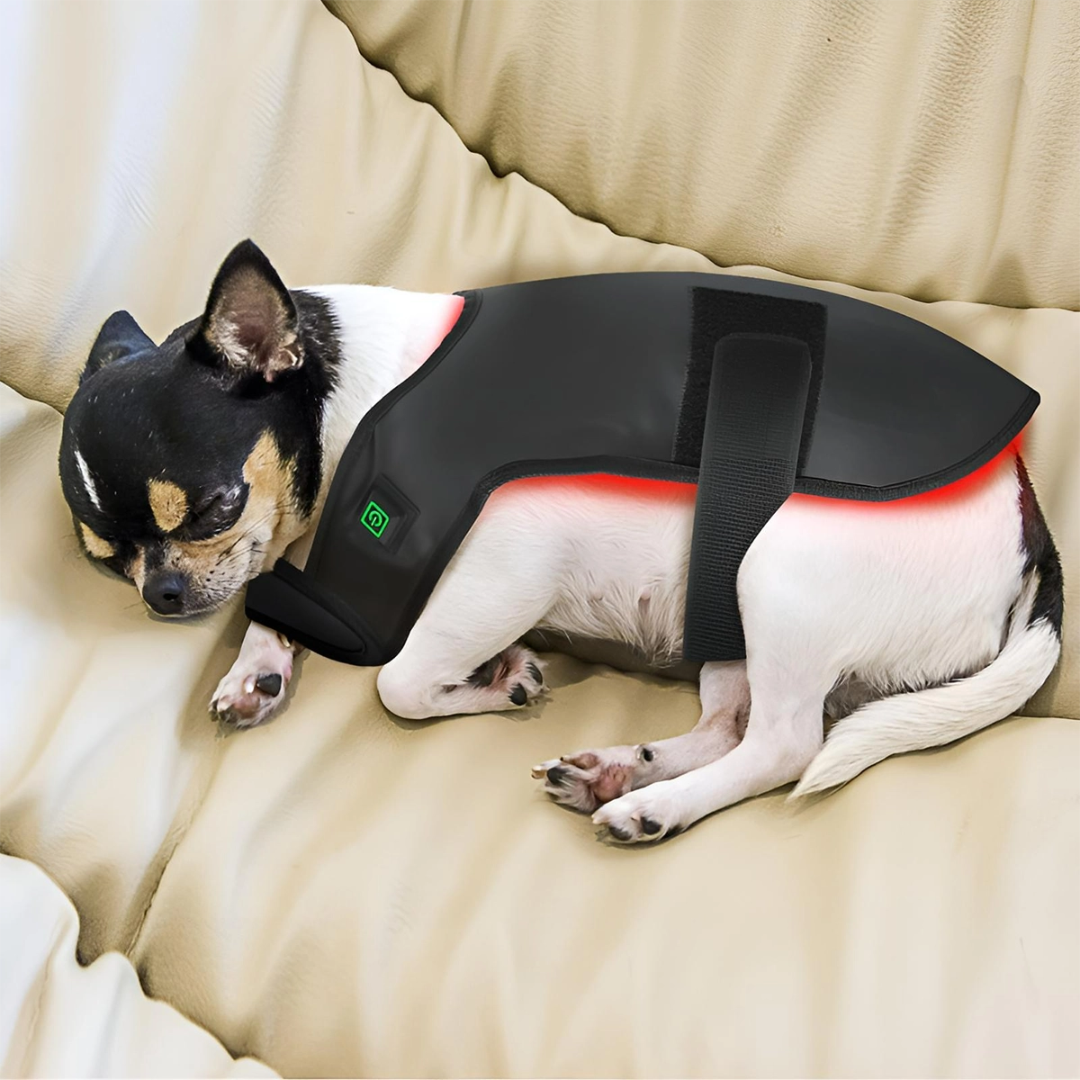 Pet Infrared Light Therapy Coat For Dogs And Cats Pain Relief At Home | Lersk