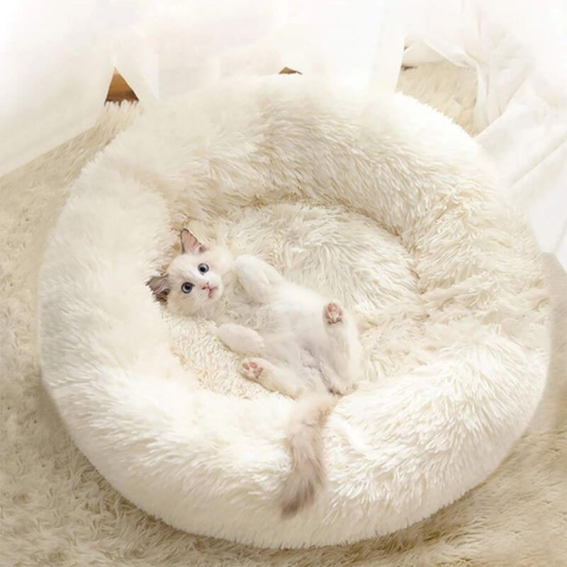 CalmPaws Cat Bed for Anxiety Relief and Everyday Comfort | Lersk