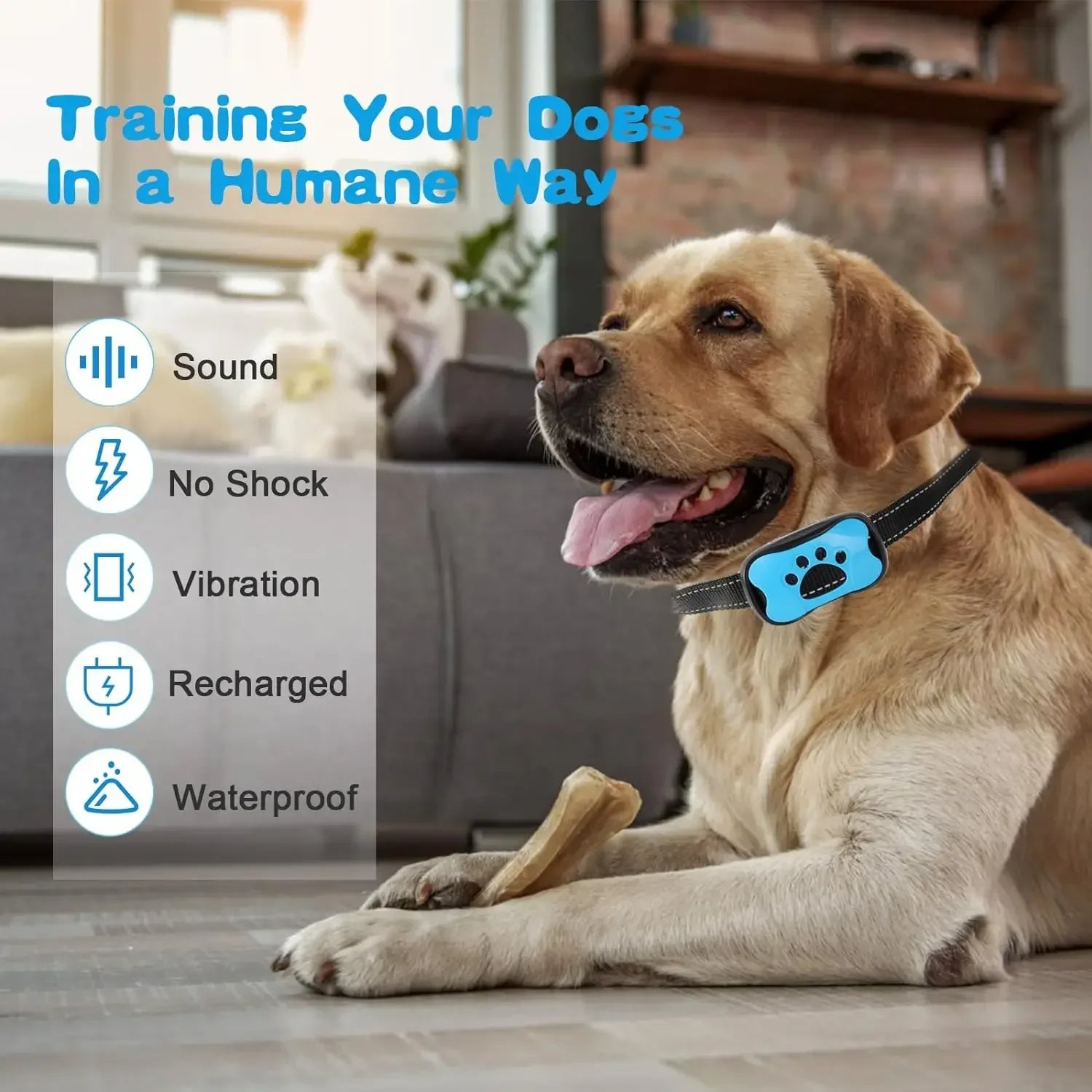 PawTru Anti-Bark Vibration Training Collar for Dogs | Lersk