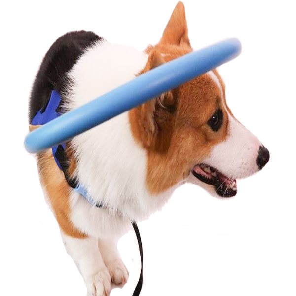 WandaPaws Guide Bumper Collar For Blind Dog Harness | Lersk