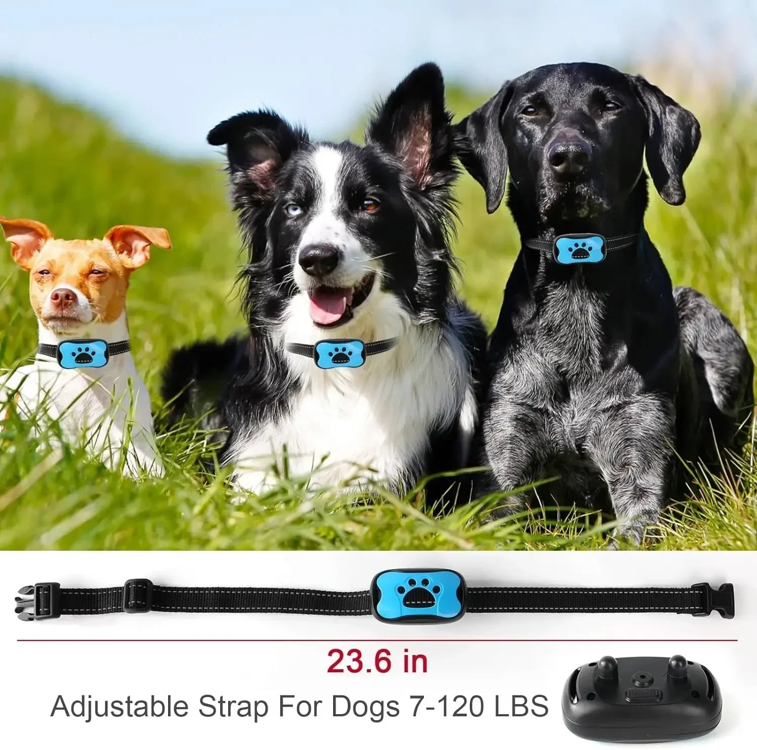 PawTru Anti-Bark Vibration Training Collar for Dogs | Lersk