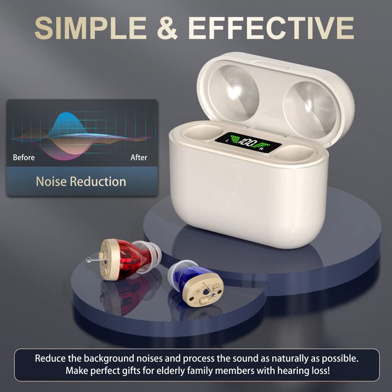 Invisible Rechargeable Hearing Amplifiers For Seniors With Wireless Charging Case | Lersk