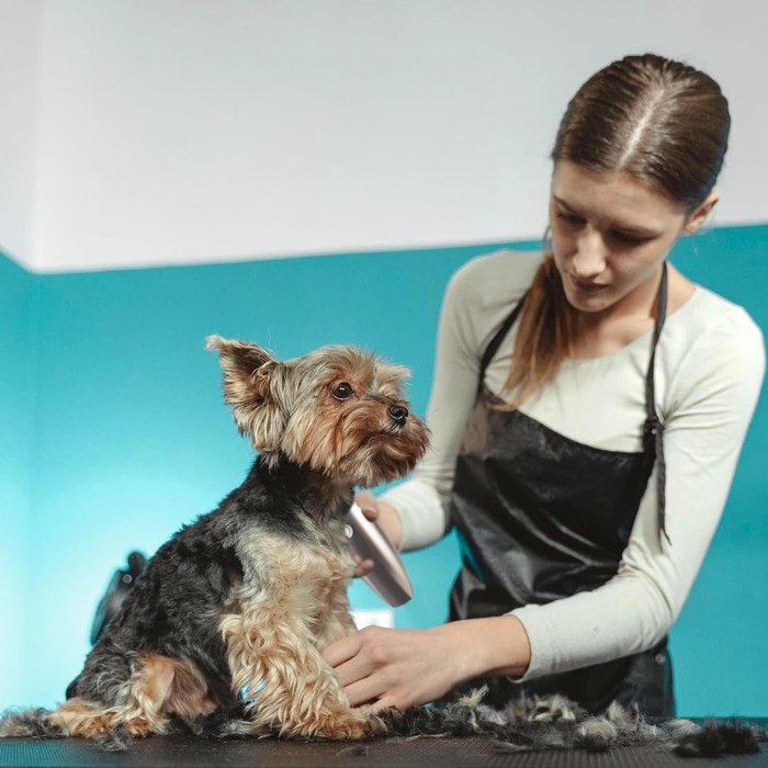 Furiva | Complete Pet Fur Care Kit | Lersk