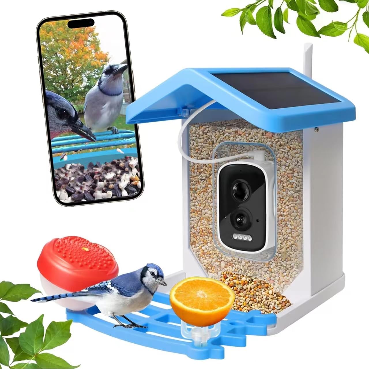 SolaraCam Solar Camera Bird Feeder for Outdoor Home Use | Lersk