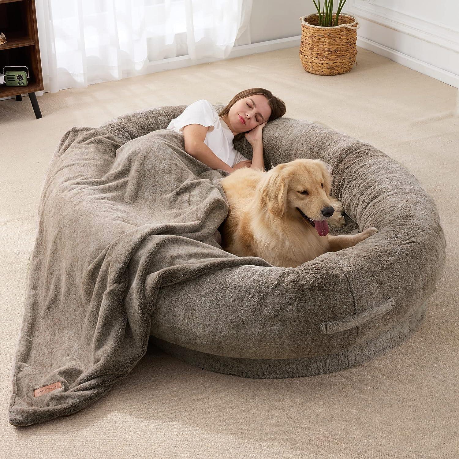 PawMingle Duo Lounge postel pro společné mazlení psů | Lersk