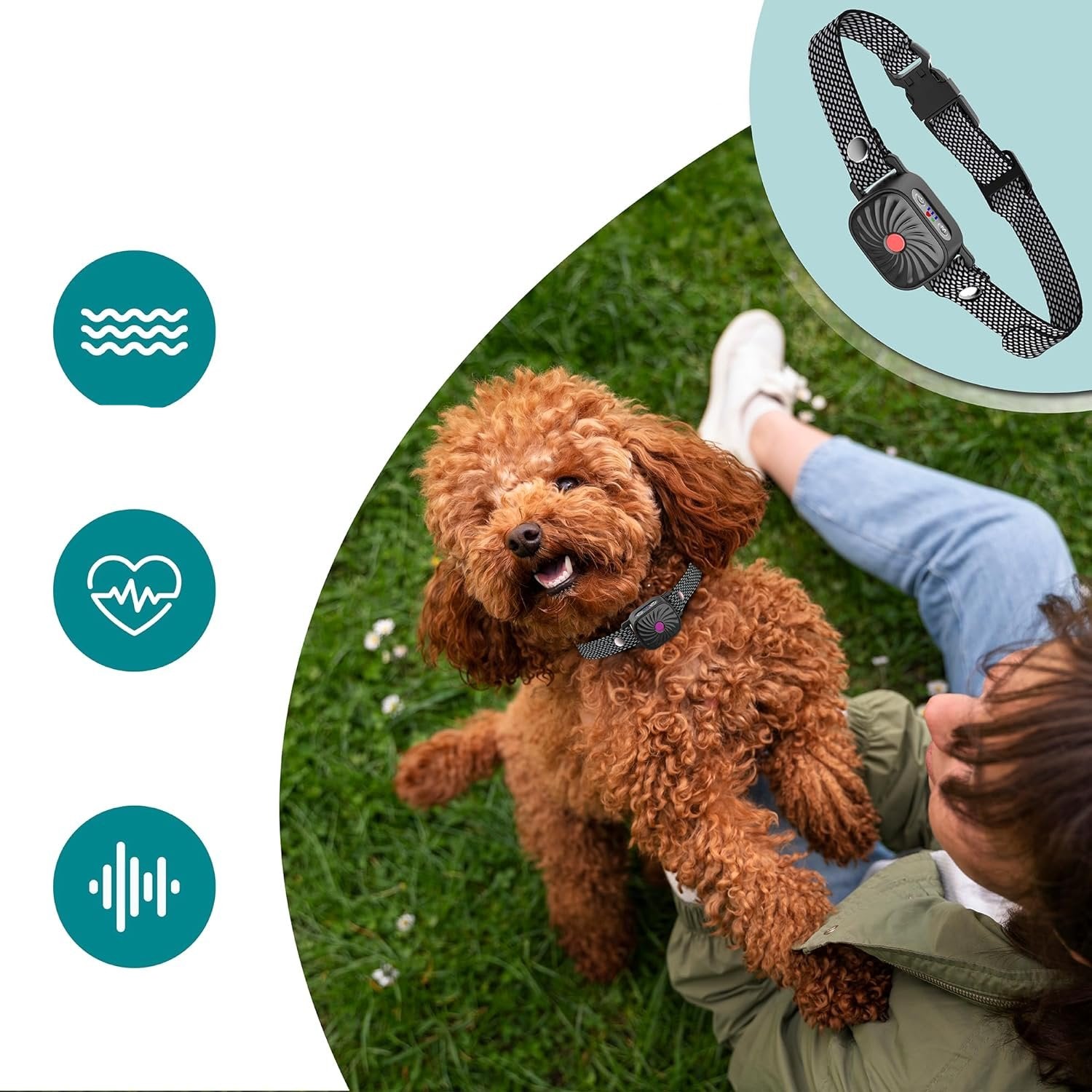 HushTail Adjustable Bark Control Collar For All Dogs | Lersk