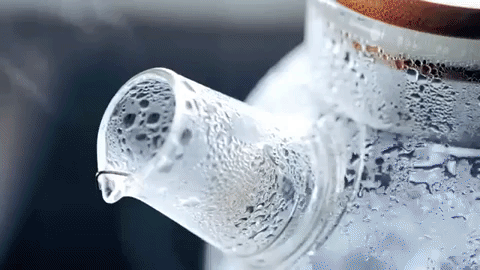 Teiera in vetro termico 54oz di Wilmax per amanti del tè, adatta per piano cottura | Lersk