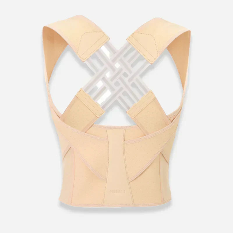 Ascenta Posture Support | Lersk