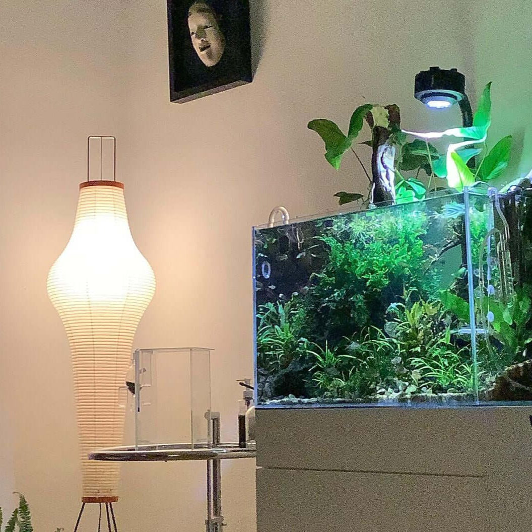 Hikaru Rispapir Gulvlampe Blødt Stemningslys Minimalistisk | Lersk