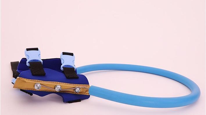 BrightGuide Bumper Collar Harness For Blind Dogs Daily Walk | Lersk