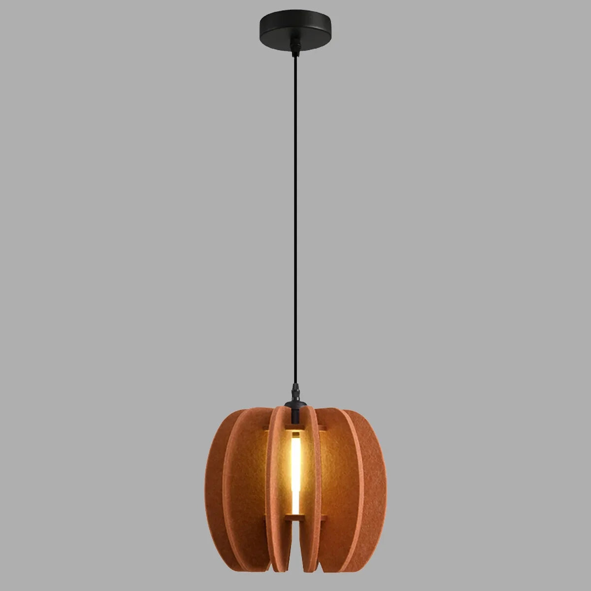Circular Arc Piece Acoustic Pendant Light | Lersk