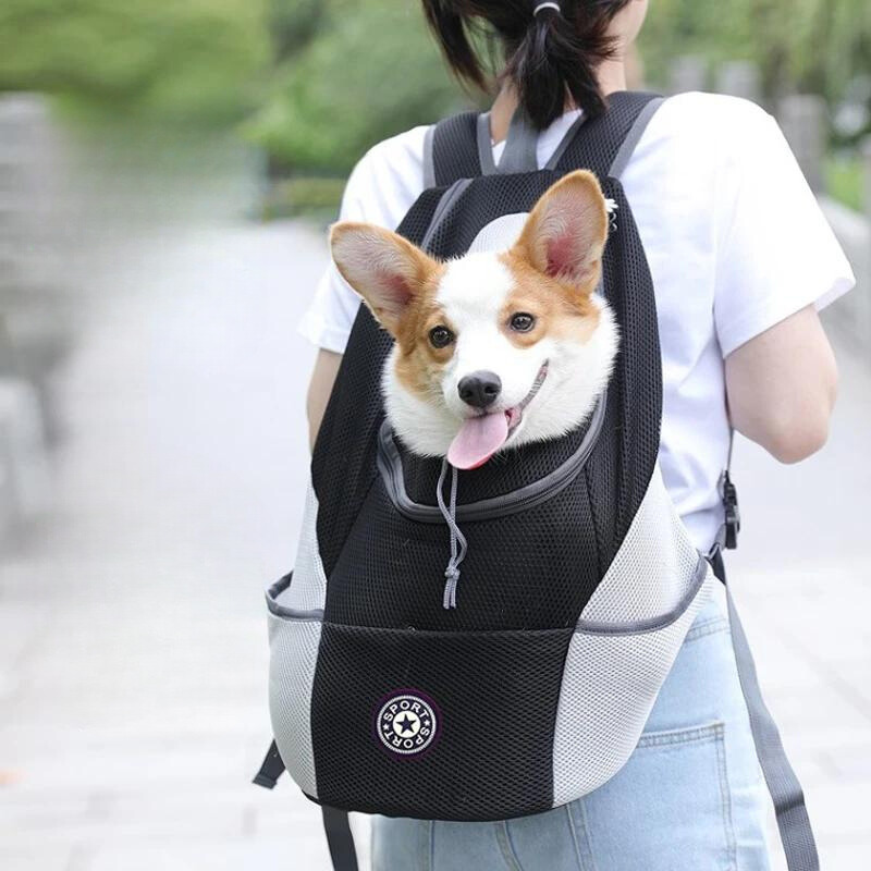 TrailPaw Dog Carrier Backpack Comfortable Secure Outdoors | Lersk