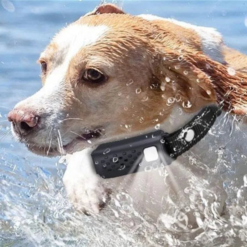 NovaPaw Remote Dog Training Collar 3280 Feet Range for Dogs | Lersk