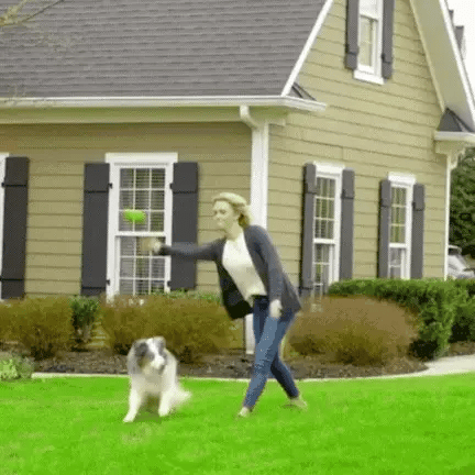 ZenGuard Pro trådløs hundegårdshalsbånd usynlig vandtæt | Lersk