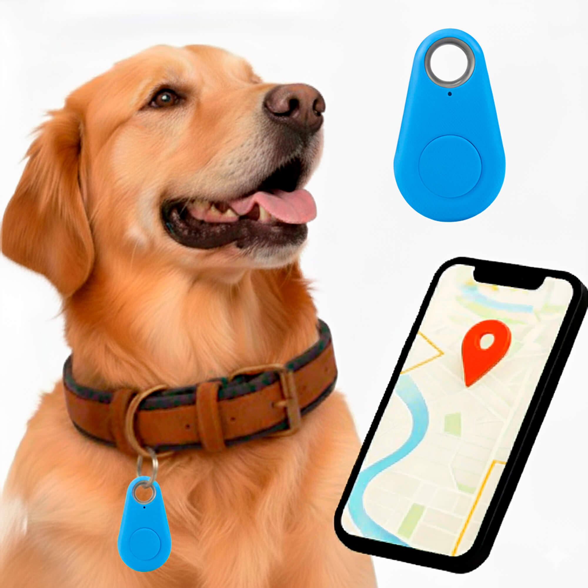 Kirra GPS Dog Tracker, Waterproof, Real-Time Alerts | Lersk