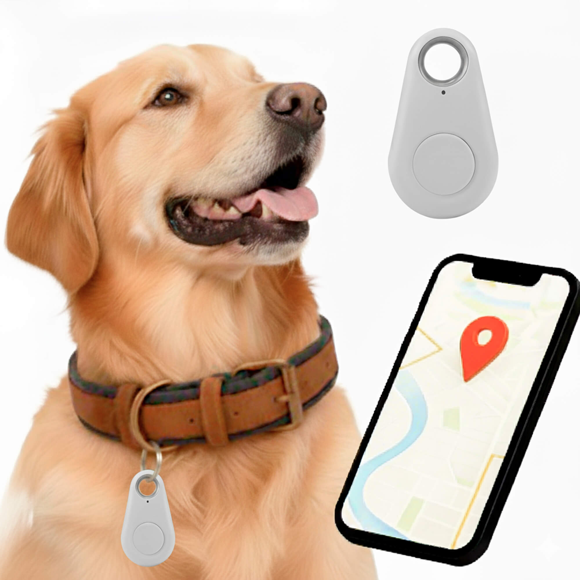 Kirra GPS Dog Tracker, Waterproof, Real-Time Alerts | Lersk