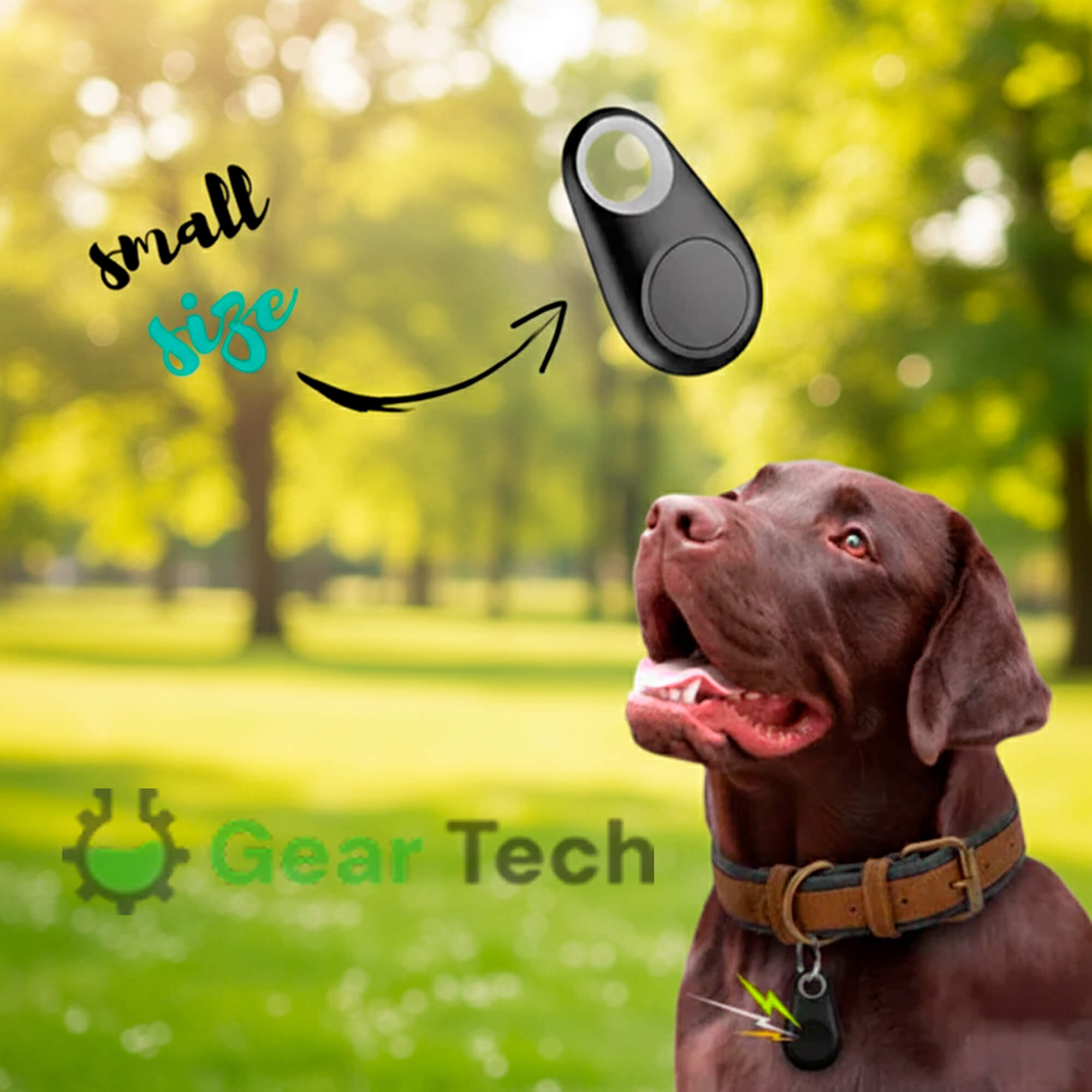 Kirra GPS Dog Tracker, Waterproof, Real-Time Alerts | Lersk