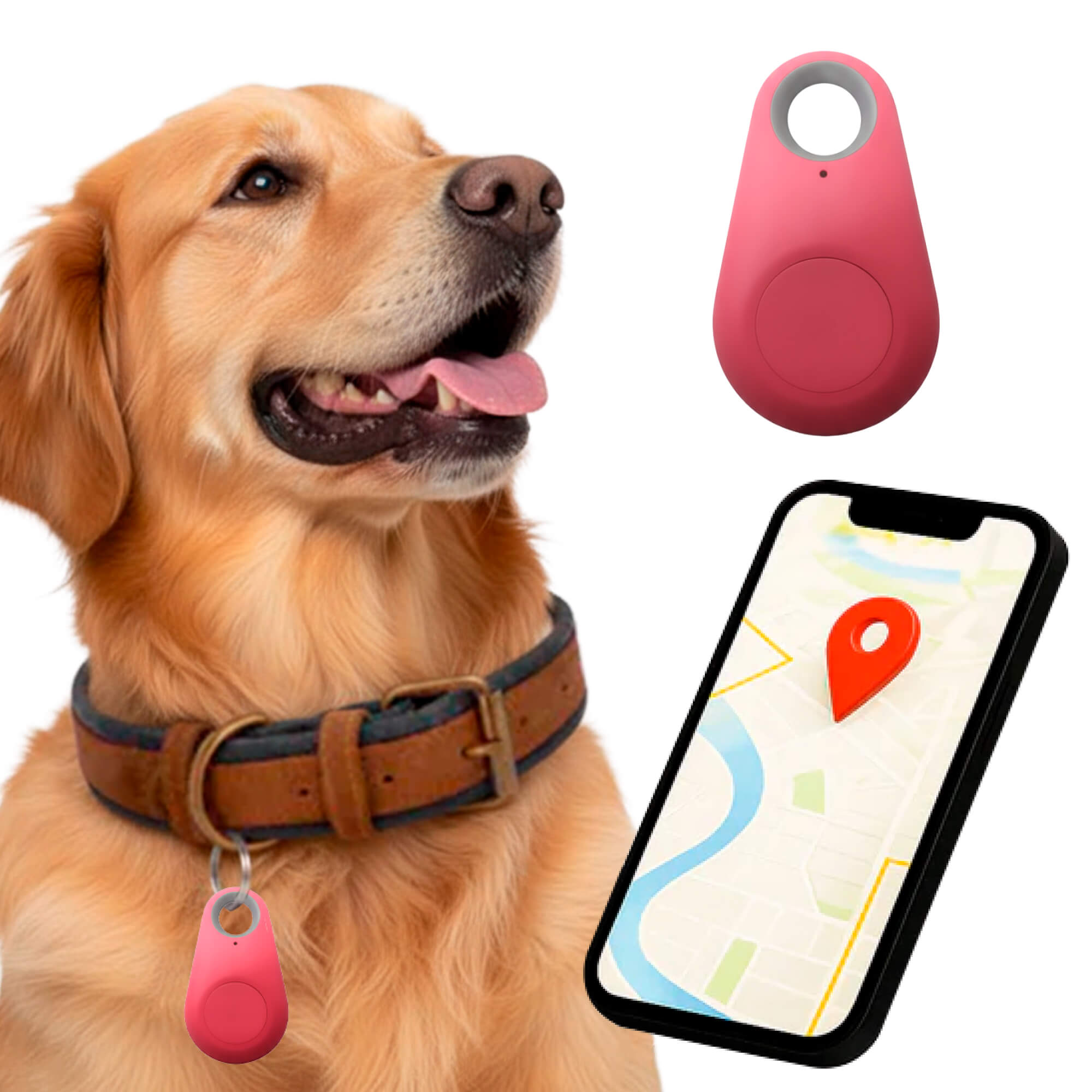 Kirra GPS Dog Tracker, Waterproof, Real-Time Alerts | Lersk