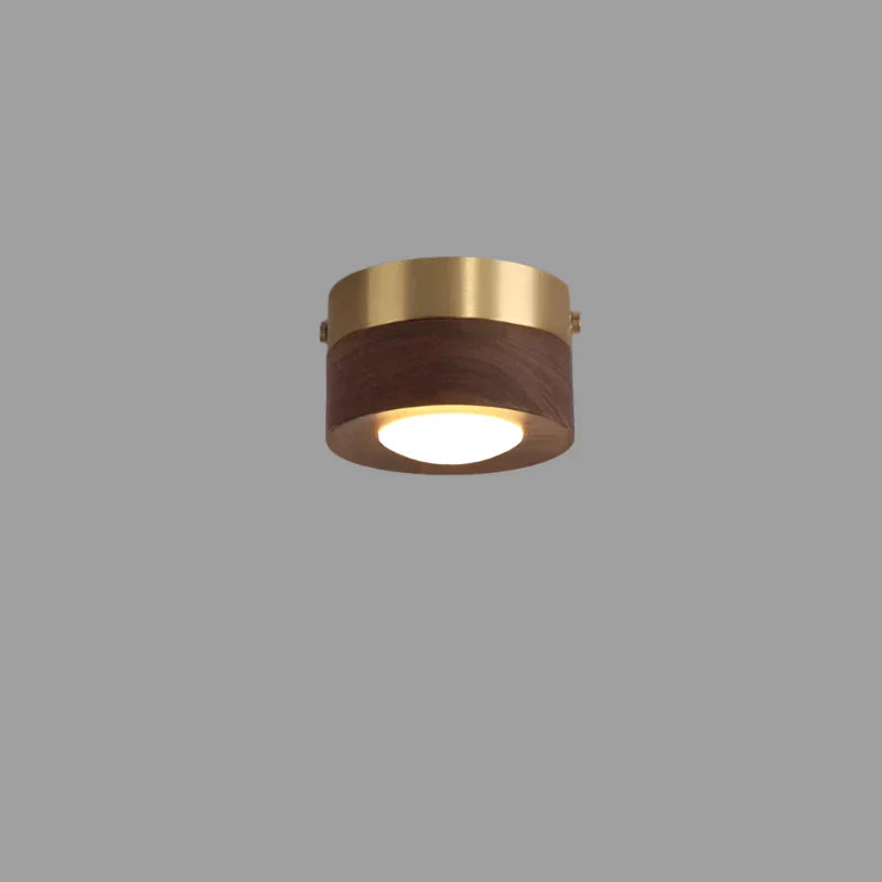 Lunaro Walnut LED Ceiling Lamp Warm Ambient Light For Homes | Lersk