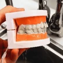 Portable Dental Flosser & Professional Whitening Kit