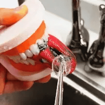 Portable Dental Flosser & Professional Whitening Kit