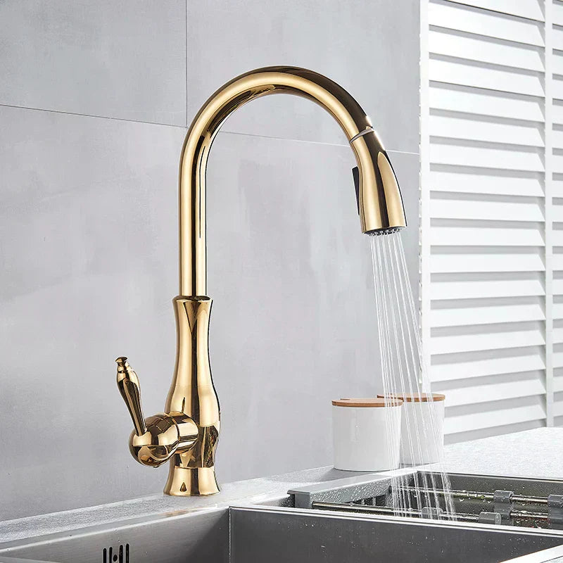 LumaGleam Gold Kitchen Faucet With Pull Out Sprayer | Lersk
