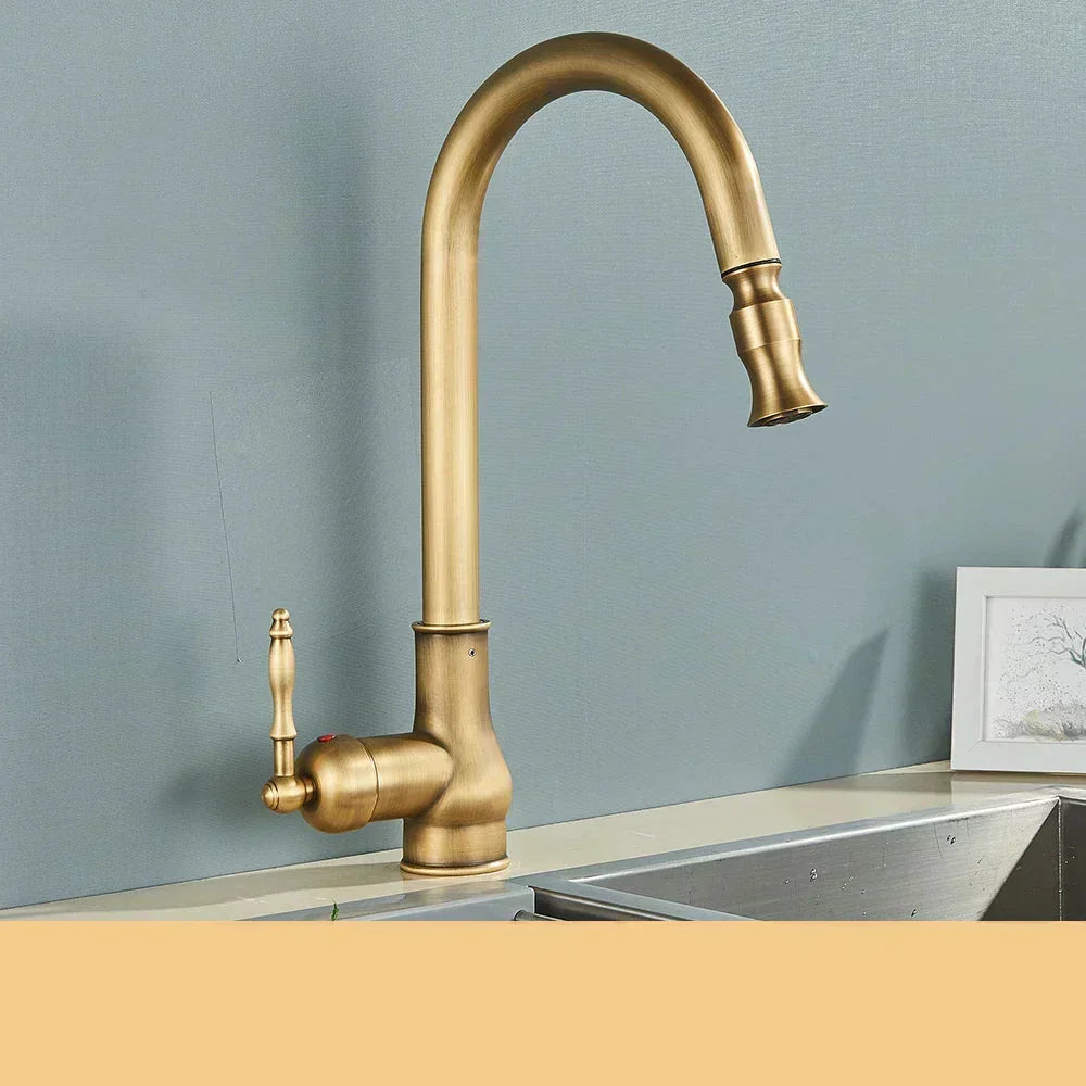 Norelle Antique Brass Swivel Kitchen Faucet With Black | Lersk