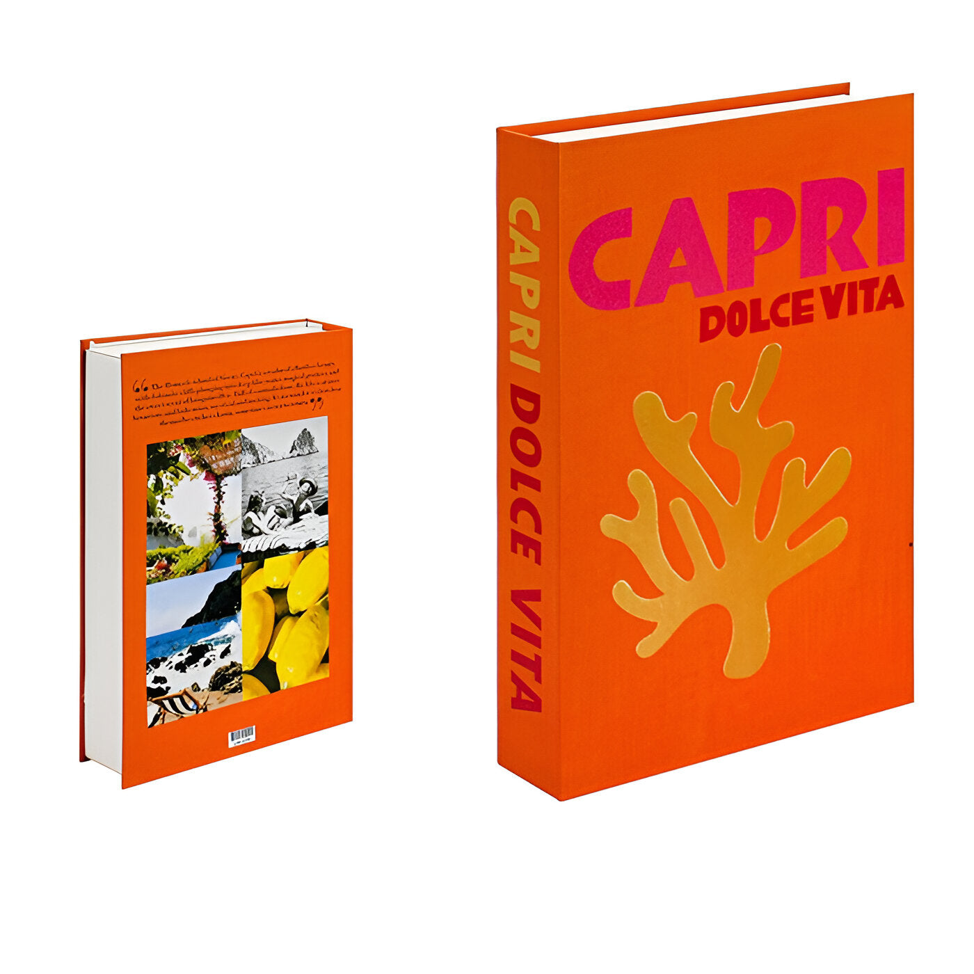 Livros Decorativos ChicFaux para Mesas de Centro e Decoração, Livros Elegantes para Exposição em Casa | Lersk