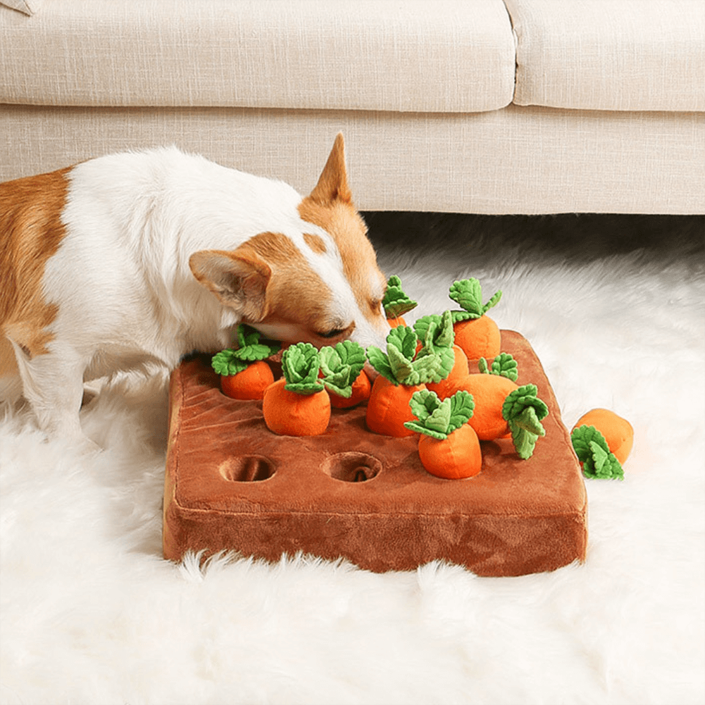 NookPaws Carrot Snuffle Toy for Dogs Mental Stimulation | Lersk