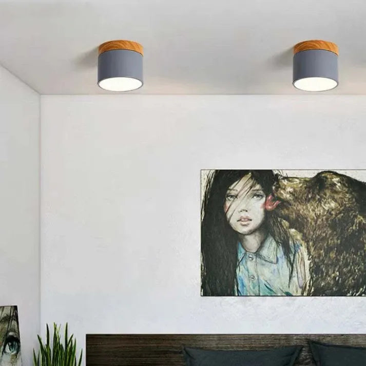 Lunara Nordic LED Ceiling Light for Hallways and Living | Lersk