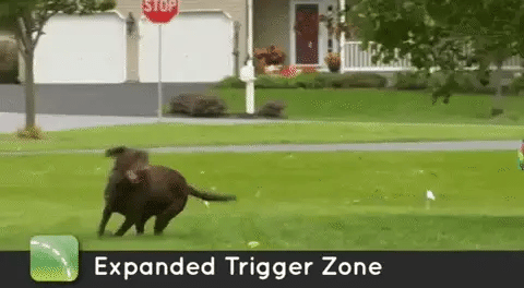ZenGuard Pro trådløs hundegårdshalsbånd usynlig vandtæt | Lersk
