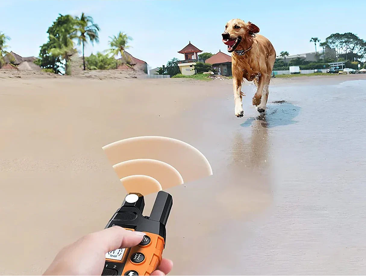 NovaPace 1000m Remote Dog Training Collar, Waterproof | Lersk