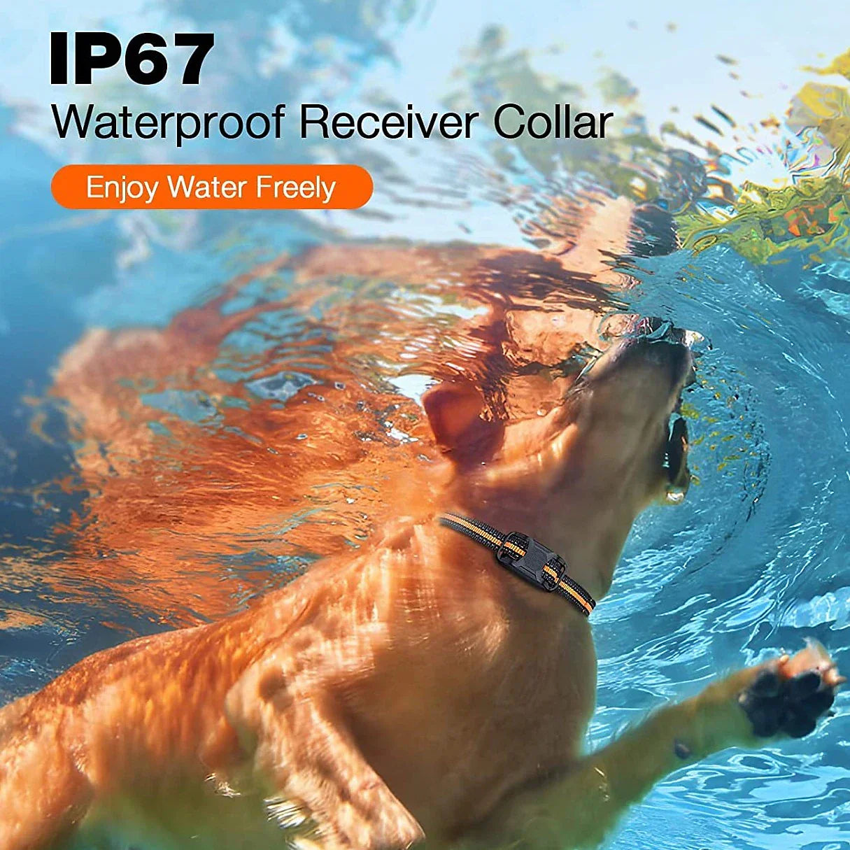 HydraPaw Pro Waterproof Remote Dog Training Collar Outdoor | Lersk