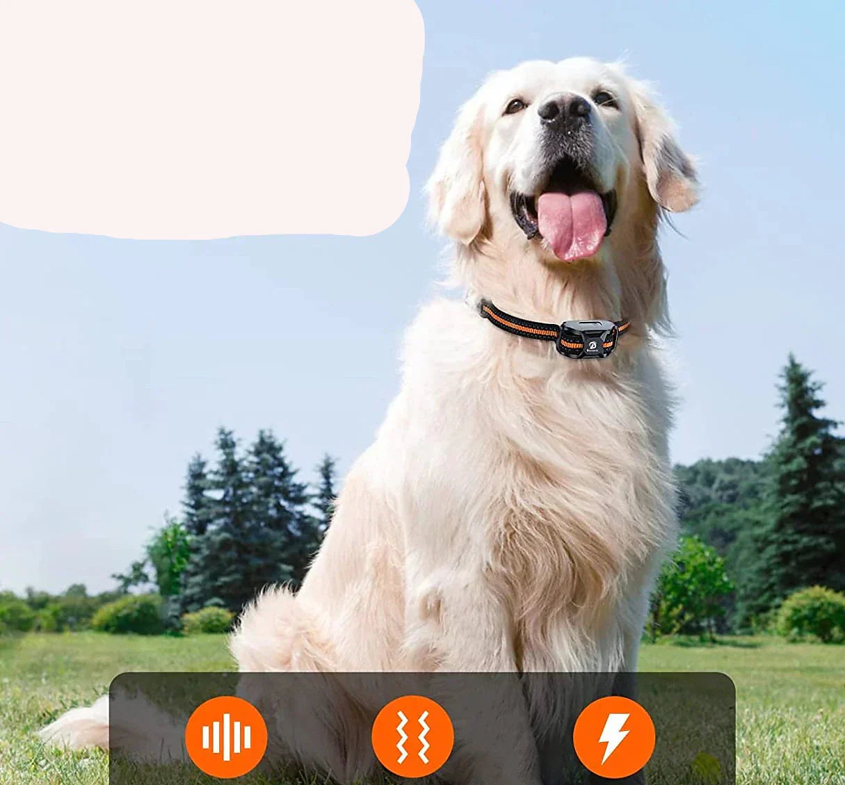 NovaPace 1000m Remote Dog Training Collar, Waterproof | Lersk