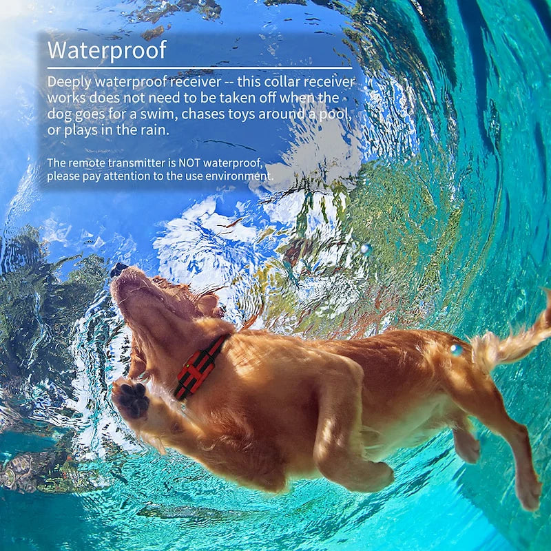 TerraGuard Pro Waterproof Dog Training Collar 500m Range | Lersk
