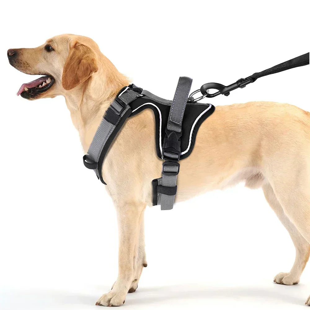 NovaPaw Agile Harness for Dogs with Reflective Handle | Lersk