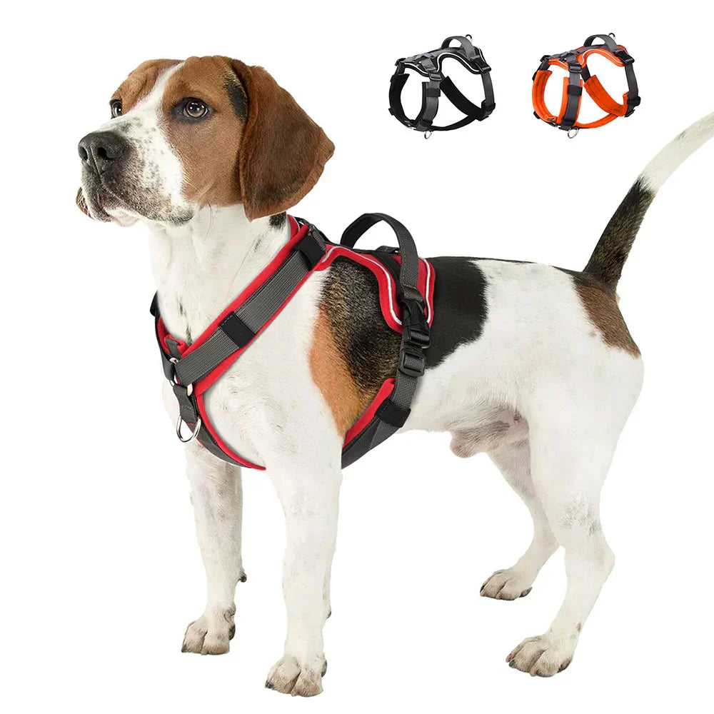 NovaPaw Agile Harness for Dogs with Reflective Handle | Lersk